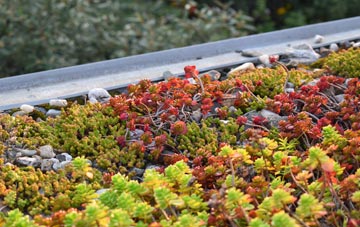 the cost of Appleton Le Moors green roof installation