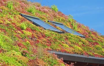 Appleton Le Moors living roof systems